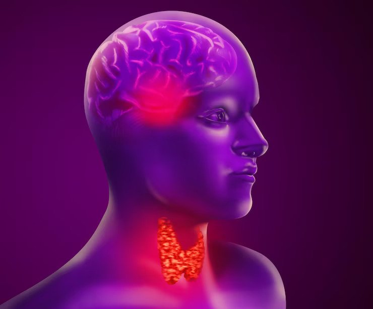 Risk Factors Associated With Head And Neck Cancers